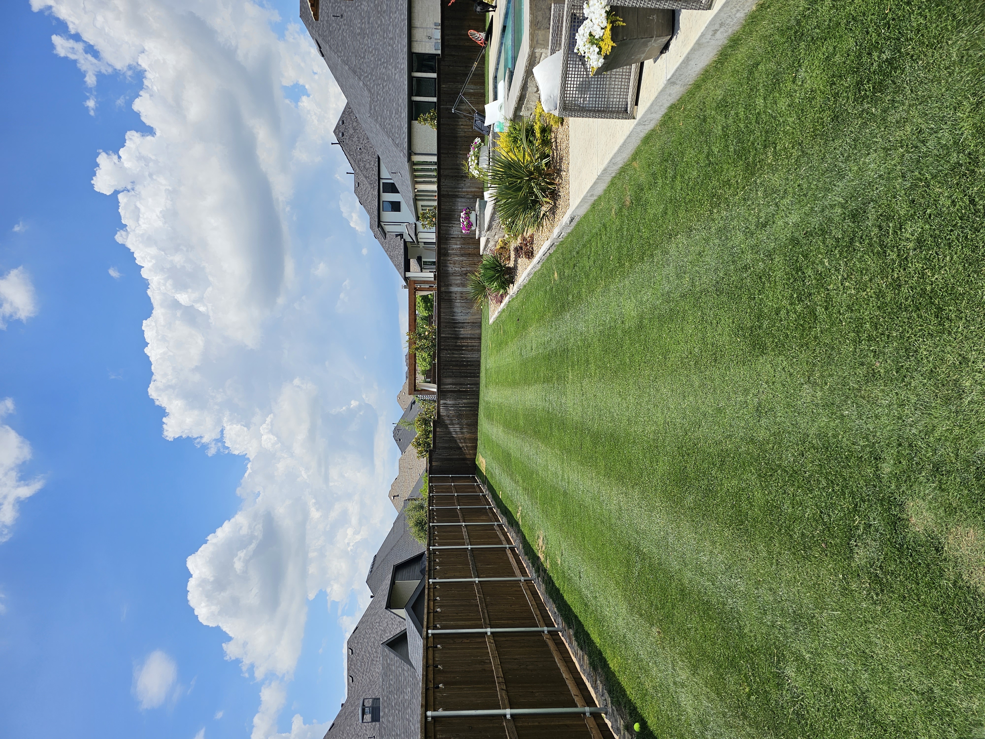 Big League Lawns