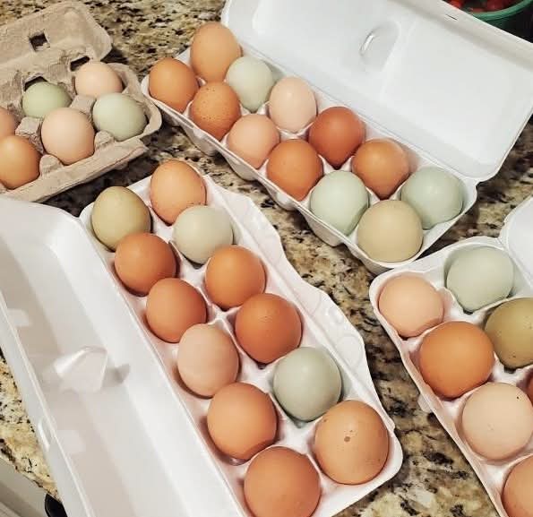 The Roost Farm Co